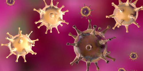 Herpes genital et herpes labial : un risque de transmission du virus
