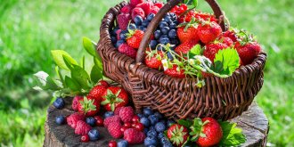 Fruits rouges : pourquoi et comment les conserver