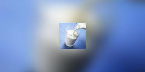 Un simple patch diagnostique l-allergie au lait de vache