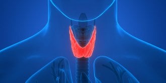 Hyperthyroidie : definition et symptomes