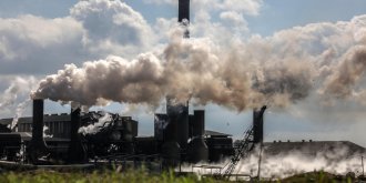 Et si la pollution faisait grossir ?