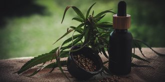 CBD et chanvre : ce qu’il faut savoir 