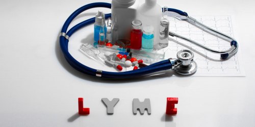 Maladie de Lyme : le traitement par antibiotiques