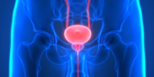 Prostatite et cancer de la prostate : existe-t-il un lien ?