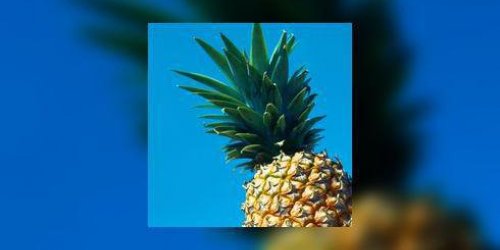 Dans votre assiette : l-ananas