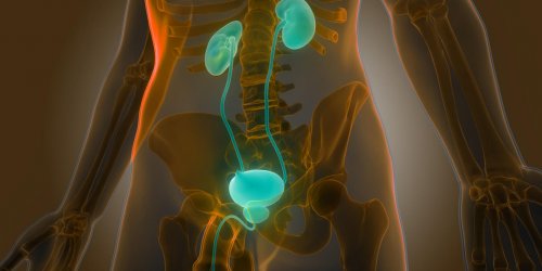 Prostatite chronique : a quoi est-elle due ?
