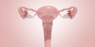 Cancer de l-uterus : le cancer de l-endometre