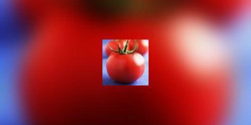 Dans votre assiette : la tomate