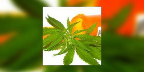Cannabis : drogue et medicament ?