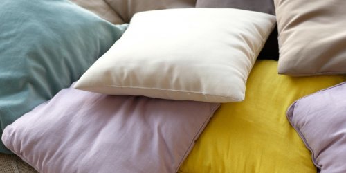 Aspergillose invasive : cette infection fongique se cache dans votre oreiller 