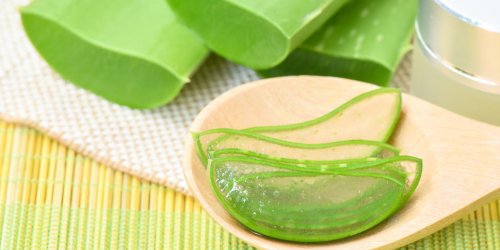 Comment utiliser l’aloe vera ?