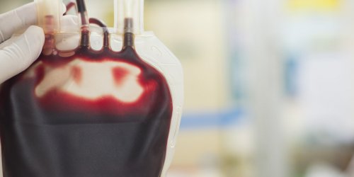 Cafeine, Xanax… que contiennent vraiment les dons de sang ?