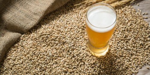 Phytotherapie : 3 bienfaits de la levure de biere
