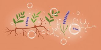 Bio-complexes : la science au banc d-essai pour une efficacite prouvee