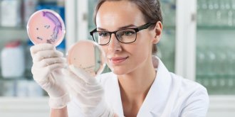 Helicobacter pylori, la bacterie de tous les dangers ?