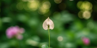 Pollutions invisibles : comment l-environnement moderne agresse votre cerveau en silence