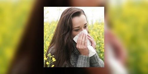 Allergies : comment prevenir ?