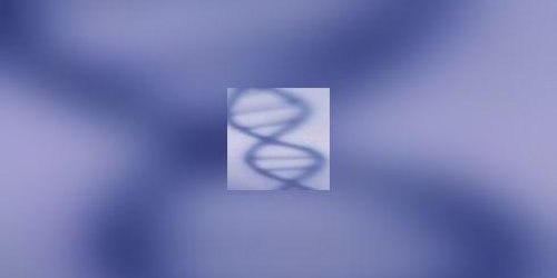 Alzheimer : le poids de la genetique