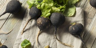 Radis noir : est-il bénéfique cru ou cuit ?