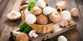 Champignon comestible, champignon toxique : 10 idees recues. Vraies ou fausses ?