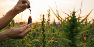 Ou acheter du CBD de qualite ?