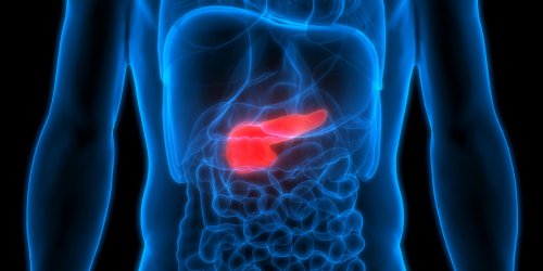 Quels sont les symptomes du cancer du pancreas ?
