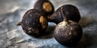 Troubles digestifs : pourquoi le radis noir est efficace