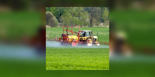 Pesticides : quels sont les vrais risques pour notre sante ?