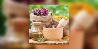 Eliminer la fatigue avec les plantes : questions-reponses d’expert