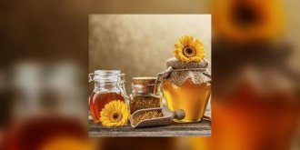 Miel, gelee royale, pollen, propolis : bons pour la sante ?