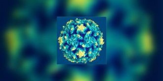 Sclerose en plaques : le virus Epstein-Barr est-il en cause ?