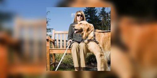 Temoignage : Anne, cadre, 52 ans, maitre chien guide d’aveugle