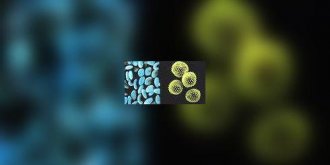 Retour annonce des pollens