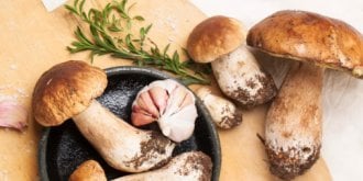 Aller aux champignons ? Pour le plaisir mais avec precautions...