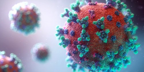 Coronavirus : un nouveau symptome qui met le pancreas en danger