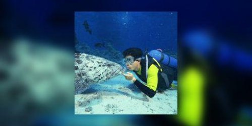 Plongee sous-marine : 9 regles de securite a connaitre