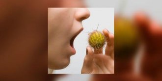 Peut-on prevenir les allergies alimentaires ?