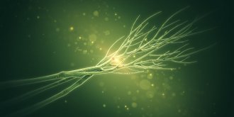 La sante du futur s-inspirera-t-elle du vivant?