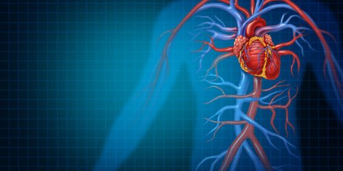 Anevrisme de l-aorte abdominale : les symptomes et les traitements