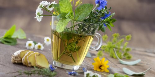 Digestion : les plantes a mettre dans votre tisane