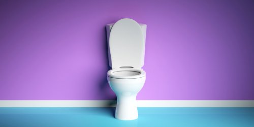 Quelles maladies peut-on attraper aux toilettes ?