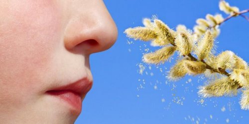 Anosmie : perte de l’odorat, mieux la comprendre