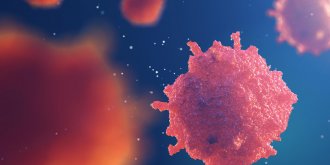 Staphylocoque dore : comment reperer l-infection
