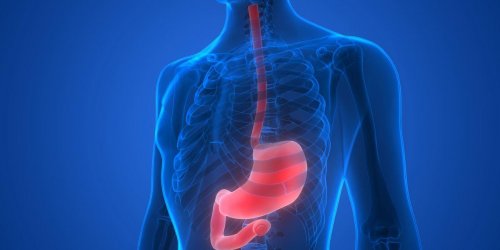 Sauriez-vous reconnaitre un cancer de l-oesophage ? 