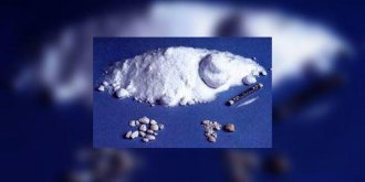 Les bébés n'aiment pas la coke