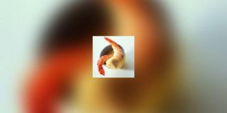 Dans votre assiette : homard, langouste et langoustines