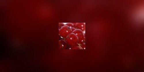 Le cranberry previent l-ulcere de l-estomac