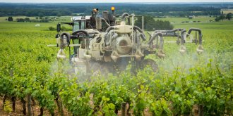 Habiter pres des vignes, facteur de risque de leucemie ? 