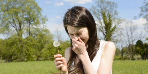 Rhinite allergique : l-homeopathie est-elle utile ?