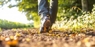 Les bienfaits de la marche